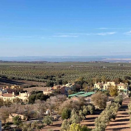Casa Picual, Mancha Real, Jaen Βίλα Εξωτερικό φωτογραφία